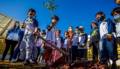 Alunos da rede municipal participam de plantio de mudas durante os Jogos Escolares da Sustentabilidade (Divulgação/PMMC)