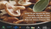 Mercado Municipal terá evento de promoção da safra de cogumelos neste sábado