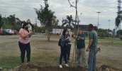 Secretaria do Verde e Meio Ambiente promove plantios em comemoração ao Dia da Árvore