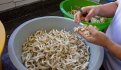 A receita deste mês foi estrogonofe e no próximo mês será Shimeji salteado com legumes. (Divulgação/PMMC)