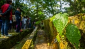 Visitas escolares movimentam o Parque Municipal durante a semana