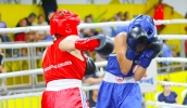 Equipe de boxe de Mogi das Cruzes conquista oito medalhas nos Jogos Abertos, em São Sebastião