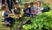 Educação promove projeto “Horta: Território dos Sabores” com foco na alimentação saudável