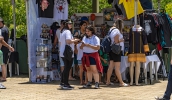 Festival atraiu bom público nos três dias, com destaque para o domingo de sol, quando cerca de 8 mil pessoas passaram pelo Parque Centenário (Divulgação/PMMC)