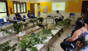 Projeto Verão no Parque realizou oficinas durante os meses de fevereiro e março, com boa participação do público (Divulgação/PMMC)