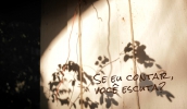 documentariointerna3.jpg