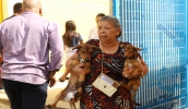 Chácara Guanabara é o primeiro bairro atendido pelo novo Programa de Castramóvel