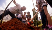 Dia da Árvore é comemorado com lançamento do Projeto Bosque das Crianças