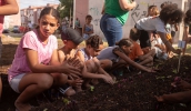 Crianças participaram de plantio de mudas no domingo, como parte das ações de revitalização realizadas no local (Warley Kenji/PMMC)
