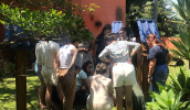 O curso “Meu Ambiente", promovido pelo Instituto Ecofuturo, reuniu educadores de Mogi das Cruzes, Suzano e Bertioga. (Divulgação/PMMC)