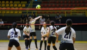 Estão abertas as inscrições para as seletivas de basquete e vôlei em Mogi das Cruzes para composição dos times de base da cidade (Divulgação/PMMC)