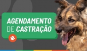 Assim que o pedido for feito pelo Colab, entrará no cronograma de serviços e seu andamento poderá ser acompanhado pelo solicitante (Divulgação/PMMC)