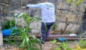 Mogi das Cruzes intensifica orientações sobre cuidados necessários para prevenir o mosquito Aedes aegypti