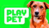 Os play pets são estruturas que podem ser formadas por diversos módulos, como rampas, túneis, pneus e gangorras (Divulgação/PMMC)