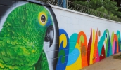 Tema para pintura dos muros são aves que foram votadas para símbolo do projeto Passarinhada (Divulgação/PMMC)