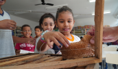 Os estudantes mergulharam em uma jornada de aprendizado sobre a produção do mel. (Divulgação/PMMC)