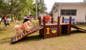 Encerramento do Junho Ambiental será com inauguração de mais um Play Pet; na foto, unidade instalada no Nubea (Warley Kenji/PMMC)
