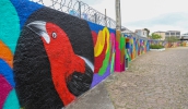 Muro da Secretaria de Meio Ambiente e Proteção Animal, pintado com espécies da avifauna observada no município (Divulgação/PMMC)