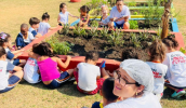 Jogos da Alimentação Saudável. (Divulgação/PMMC)