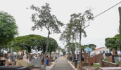 Serviços essenciais funcionam normalmente neste sábado (2), Dia de Finados (Divulgação/PMMC)