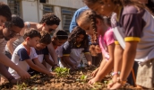 Crianças gostaram da novidade e participaram das atividades práticas na terça-feira, dia 19 de novembro, durante a entrega da horta mandala (Divulgação/PMMC)