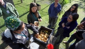 Oficina ensinou técnicas de compostagem para reduzir o desperdício, nutrir o solo e criar um ciclo sustentável em casa ou na comunidade (Divulgação/PMMC)