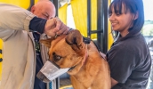 Programa Seu Amigo Pet acontece mensalmente em bairros do município, com o objetivo de promover o bem-estar animal e a posse responsável (Divulgação/PMMC)