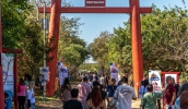 Rua + Feliz reuniu cerca de 20 mil pessoas no Parque Centenário (Divulgação - PMMC)