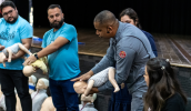 A formação combinou teoria e prática, permitindo que os professores compreendessem os procedimentos corretos e tivessem a oportunidade de simular ações em tempo real. (Divulgação/PMMC)