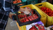 Para dar conta da demanda, confeiteiras recorrem ao Mercado do Produtor "Minor Harada", de duas e três vezes por semana