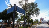 Prefeitura e Defensoria P&uacute;blica do Estado oferecem servi&ccedil;os neste s&aacute;bado (17/10), na pra&ccedil;a Oswaldo Cruz