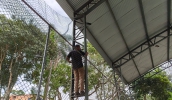 Prefeitura instala redes de prote&ccedil;&atilde;o contra pombos na quadra do Centro Esportivo do Jardim Camila