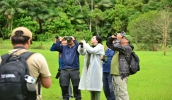 Passarinhada no Parque Natural Municipal registra 68 esp&eacute;cies de aves na Serra do Itapeti