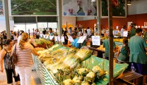 Feira Noturna