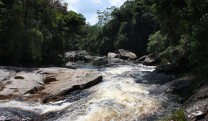 Parque das Neblinas