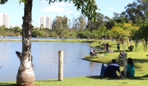 Mogi das Cruzes promove evento para conscientizar sobre fibromialgia neste domingo