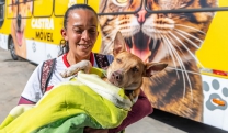Programa Seu Amigo Pet chega à 4ª edição e atende pets no distrito de Taiaçupeba 