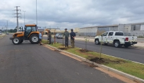 Plano de Arboriza&ccedil;&atilde;o Urbana d&aacute; in&iacute;cio ao trabalho de plantio de mudas no Corredor Nordeste