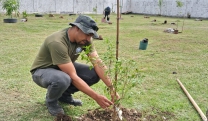 Programa Brotos de Mogi promove plantio de mais de 100 mudas em unidades de sa&uacute;de reformadas