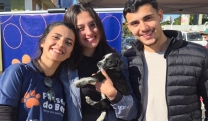 Feira de Ado&ccedil;&atilde;o no Mercado do Produtor proporciona lares para seis animais