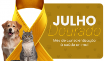 Julho Dourado ter&aacute; programa&ccedil;&atilde;o voltada &agrave; prote&ccedil;&atilde;o animal e come&ccedil;a neste domingo (5/7)