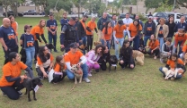 Julho Dourado come&ccedil;a e oferecer&aacute; programa&ccedil;&atilde;o voltada &agrave; prote&ccedil;&atilde;o animal completa durante o m&ecirc;s