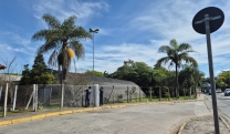 Viveiro Municipal passa por reforma e amplia&ccedil;&atilde;o para melhorar estrutura e fortalecer arboriza&ccedil;&atilde;o urbana