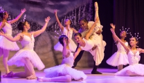 Prefeitura de Mogi das Cruzes abre inscri&ccedil;&otilde;es para Mostra de Dan&ccedil;a Fernanda Moretti