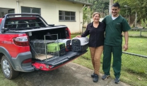 N&uacute;cleo de Bem-Estar Animal (Nubea) utiliza programas para garantir sa&uacute;de e controle populacional de c&atilde;es e gatos