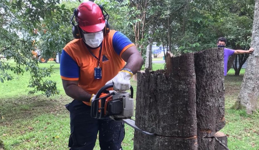 Capacitação tem o objetivo de ampliar o alcance e a eficiência dos serviços de atendimento a ocorrências de queda de árvores durante o período de chuvas (Divulgação)