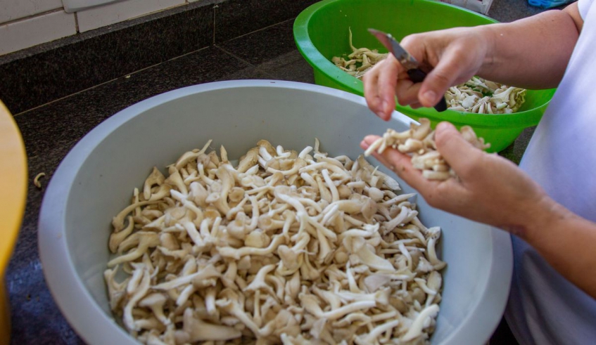 A receita deste mês foi estrogonofe e no próximo mês será Shimeji salteado com legumes. (Divulgação/PMMC)