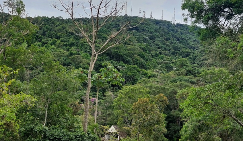 Prefeitura de Mogi das Cruzes - Conselho Mogiano de Meio Ambiente -  Notícias - Inscrições para escolha de membros da sociedade civil do CMMU  são reabertas