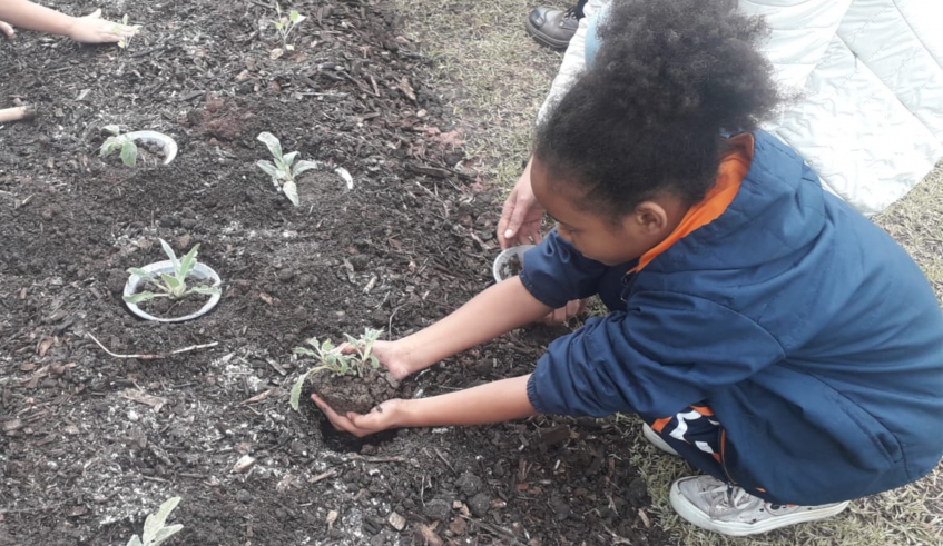 A Secretaria do Meio Ambiente e Proteção Animal começou a implantação de hortas escolares nas escolas premiadas nos JES de 2022. (Divulgação/PMMC)