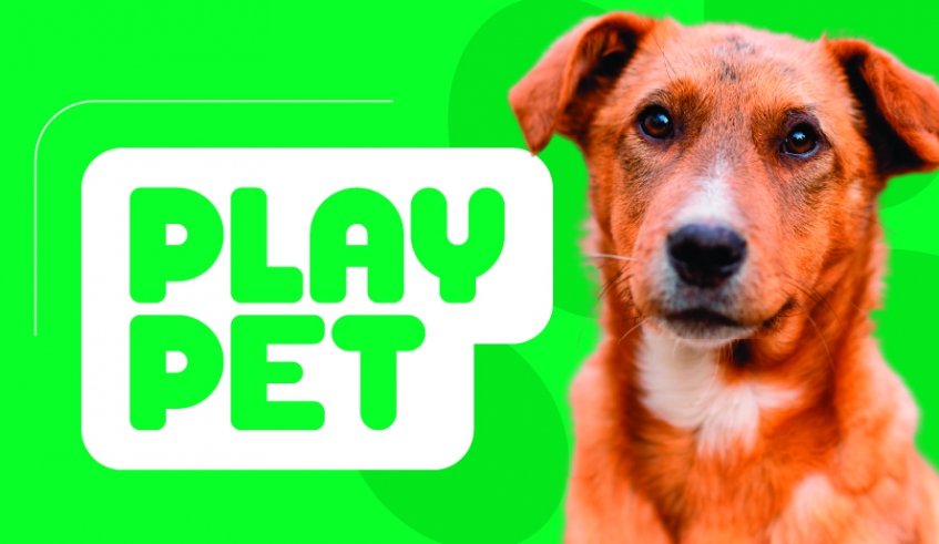 Os play pets são estruturas que podem ser formadas por diversos módulos, como rampas, túneis, pneus e gangorras (Divulgação/PMMC)